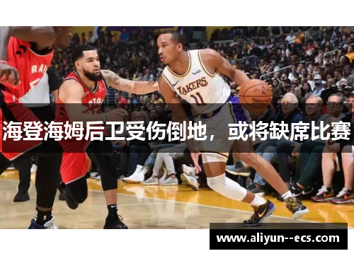 海登海姆后卫受伤倒地，或将缺席比赛